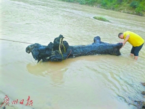 台风海马送来4000年乌木 考古鉴定为千年阴沉木(图2)