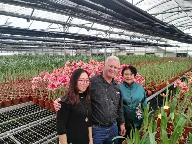 80后东莞花农,人生像兰花一样绽放(图6) 80后东莞花农,人生像兰花一样绽放(图6)