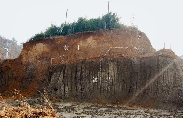 中华5000多年文明的考古实证