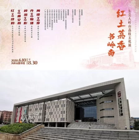 6月10日起，到大岭山图书馆品阅荔枝文化魅力