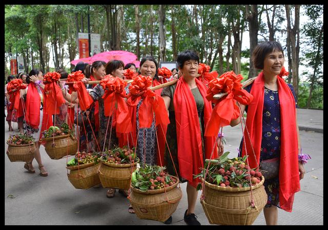 6月10日起，到大岭山图书馆品阅荔枝文化魅力(图7)