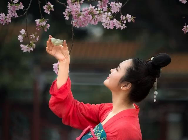 樱花文旅的千亿未来(图4) 樱花文旅的千亿未来(图4)