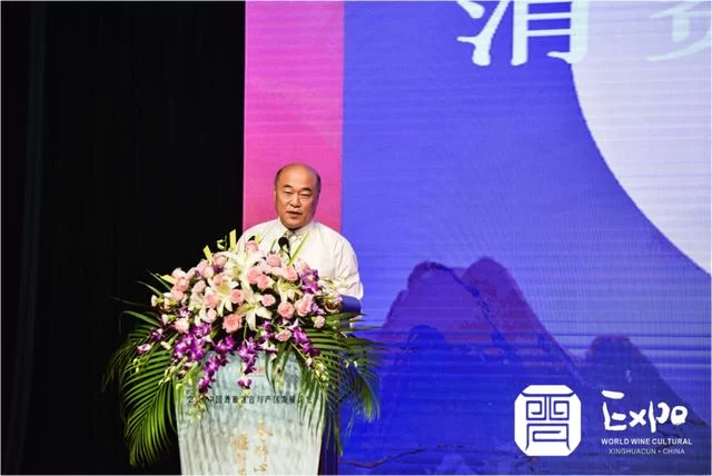 酒旅融合怎么做 杏花村论坛为酒企贡献智慧(图4) 酒旅融合怎么做 杏花村论坛为酒企贡献智慧(图4)