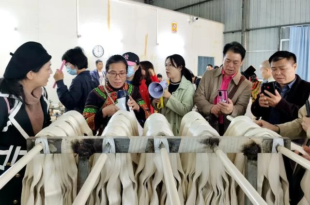 用有温度的作品助力脱贫攻坚——广西、百色两级文联组织作家赴隆林采风侧记(图12)
