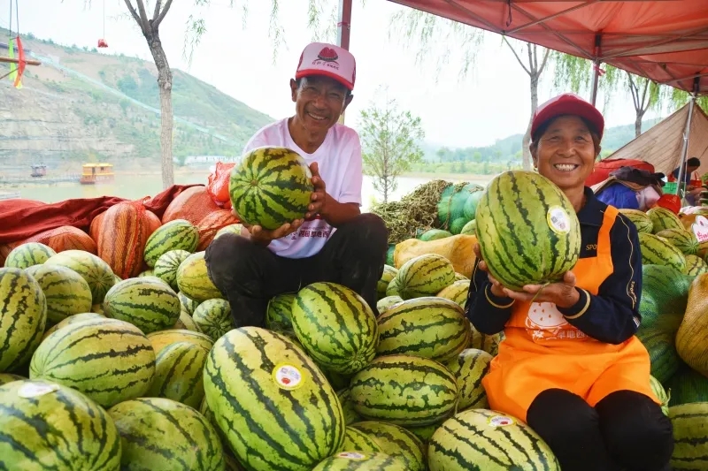 陕西神木：产业扶贫“挑大梁”，麟州遍开“富民花”(图5)