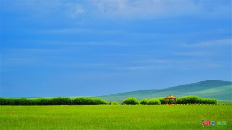 实力圈粉！“千里草原”从春美到冬(图8)