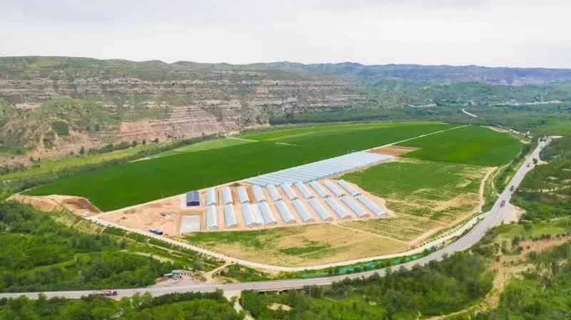 陕西神木:创新“123456”模式 激活“村企结对”新动能(图2) 陕西神木:创新“123456”模式 激活“村企结对”新动能(图2)