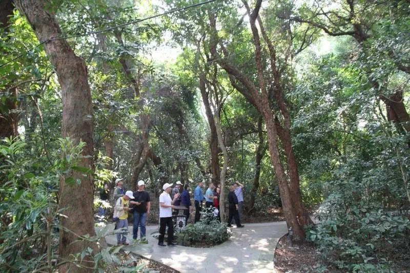 防城港采风作品专辑 | “壮美广西·多彩边关”中国文艺名家走边疆(图4) 防城港采风作品专辑 | “壮美广西·多彩边关”中国文艺名家走边疆(图4)
