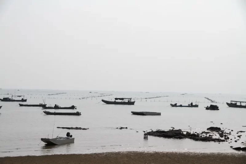 防城港采风作品专辑 | “壮美广西·多彩边关”中国文艺名家走边疆(图7) 防城港采风作品专辑 | “壮美广西·多彩边关”中国文艺名家走边疆(图7)