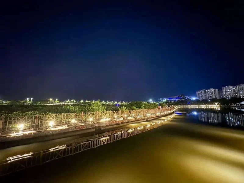 防城港采风作品专辑 | “壮美广西·多彩边关”中国文艺名家走边疆(图12) 防城港采风作品专辑 | “壮美广西·多彩边关”中国文艺名家走边疆(图12)