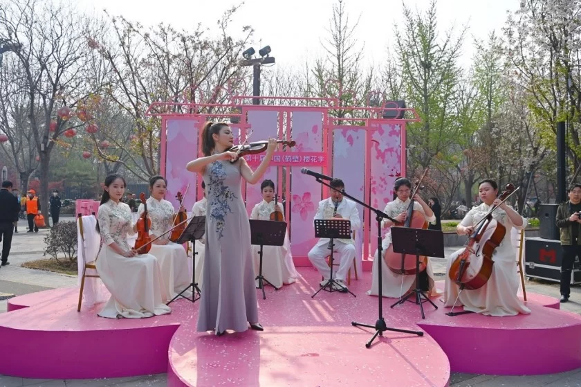 “鹤舞樱飞 向新而行”——第十届中国(鹤壁)樱花季华美启幕(图2) “鹤舞樱飞 向新而行”——第十届中国(鹤壁)樱花季华美启幕(图2)