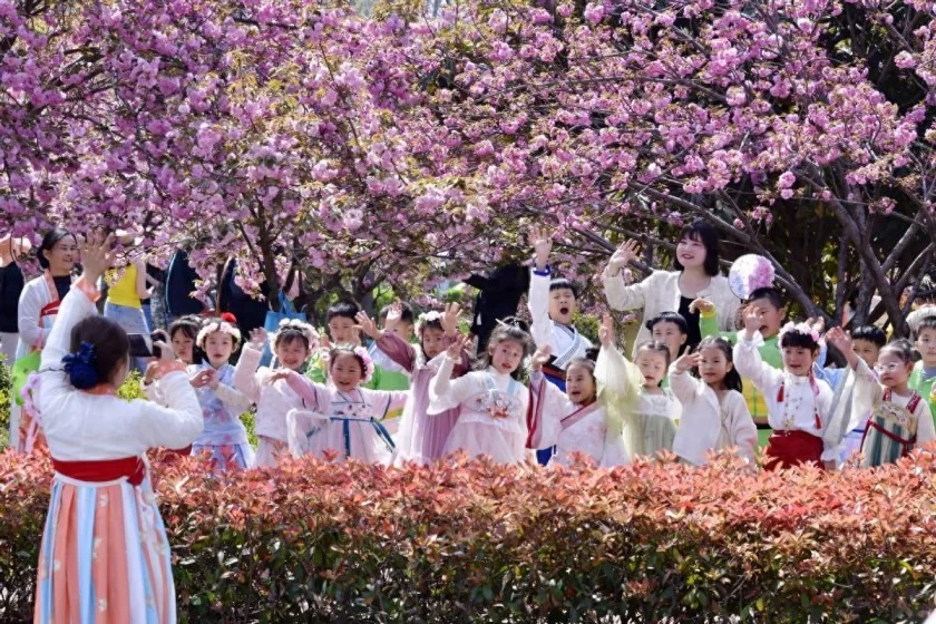 河南鹤壁淇滨区:游客赏花更护花 满城文明处处景(图1) 河南鹤壁淇滨区:游客赏花更护花 满城文明处处景(图1)