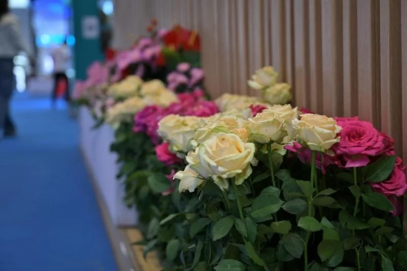 “有一种叫云南的生活”展区璀璨亮相2024中国文化旅游产业博览会(图4) “有一种叫云南的生活”展区璀璨亮相2024中国文化旅游产业博览会(图4)