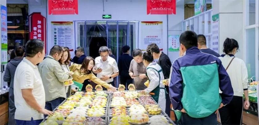 全国农产品产销对接助力乡村振兴(京津冀)活动暨“河北净菜”品牌推介会在河北青县举办(图12) 全国农产品产销对接助力乡村振兴(京津冀)活动暨“河北净菜”品牌推介会在河北青县举办(图12)