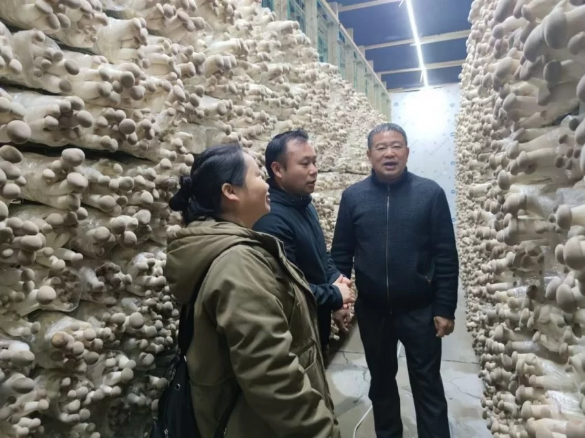 “共同体八桂行·柳州站”全媒体采访行动暨广西民族报社签约作家座谈会在柳州圆满举行(图15) “共同体八桂行·柳州站”全媒体采访行动暨广西民族报社签约作家座谈会在柳州圆满举行(图15)