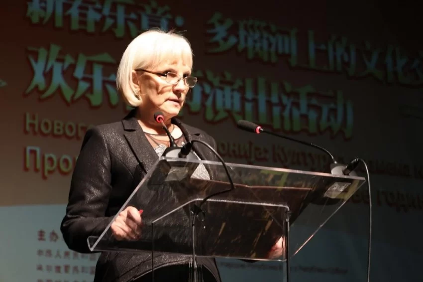 2025年欢乐春节演出活动在斯梅戴雷沃圆满闭幕(图4)