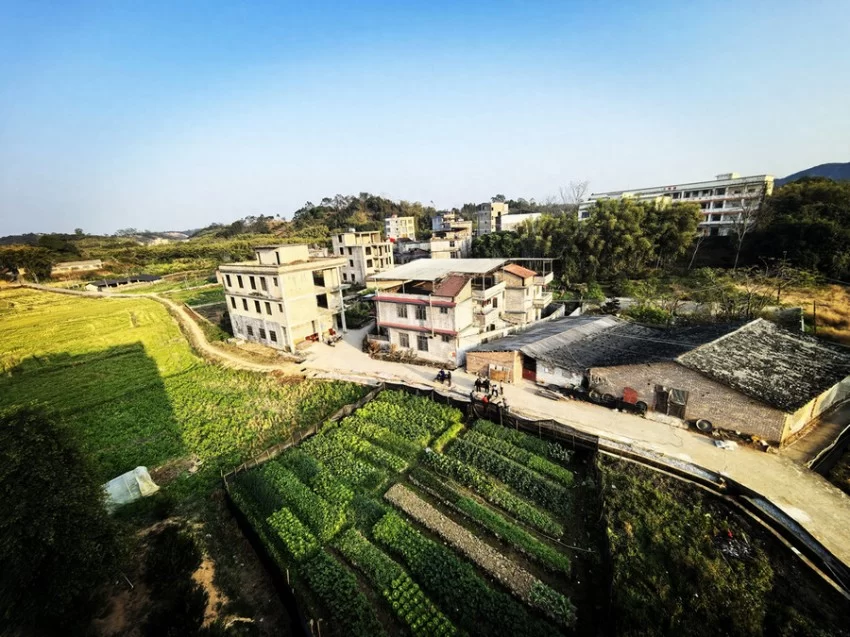 广西博白县水鸣镇江正村大鹏堂:“美食小村”的新年梦想