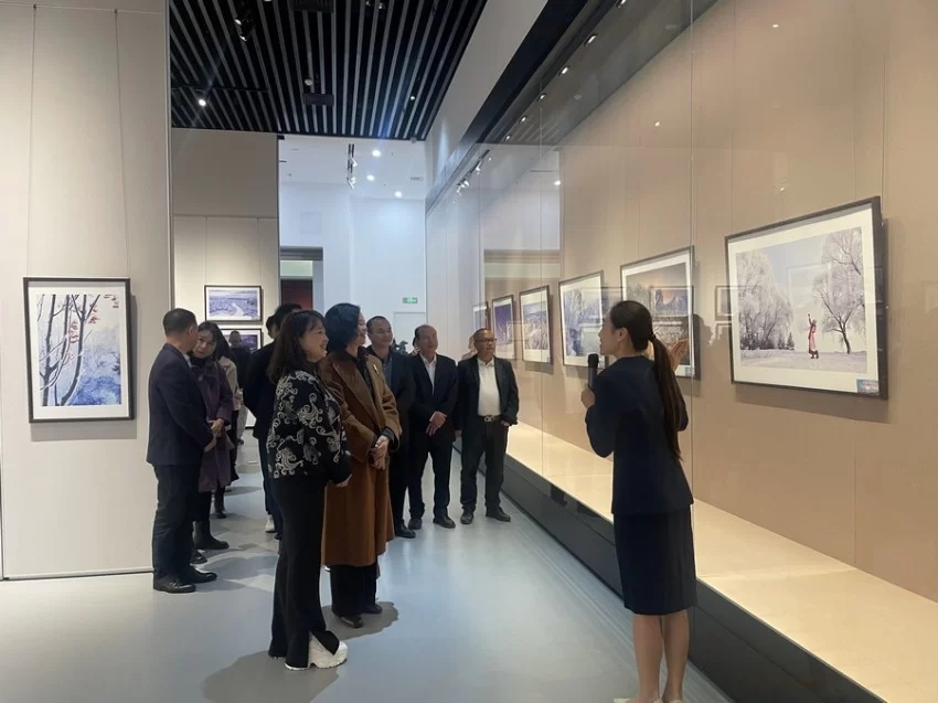 “大美伊春、魅力丰林”冬季风光摄影作品系列展：光影艺术展现魅力丰林时代风采(图6)