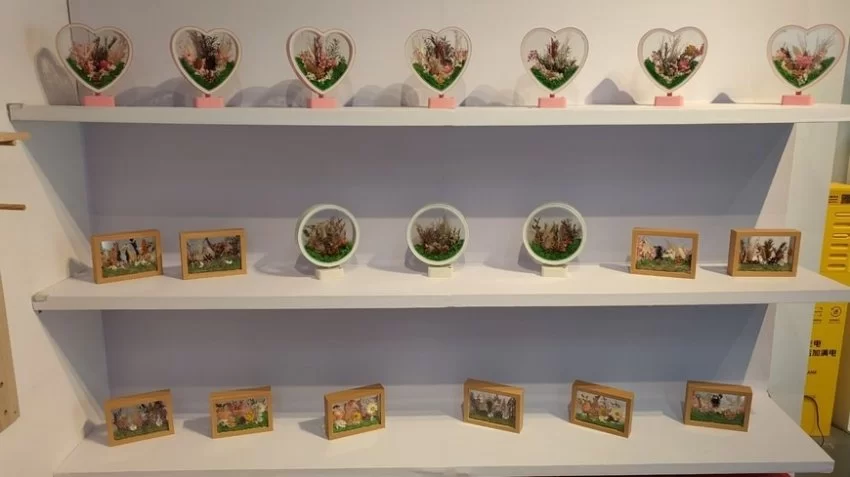 “大美伊春·魅力丰林”四季风光摄影作品展武汉站启幕(图5)