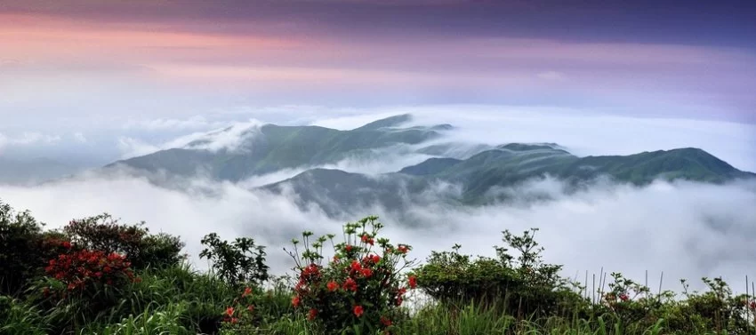 广西贺州姑婆山旅游度假区:走出一条绿色发展的“蝶变”之路