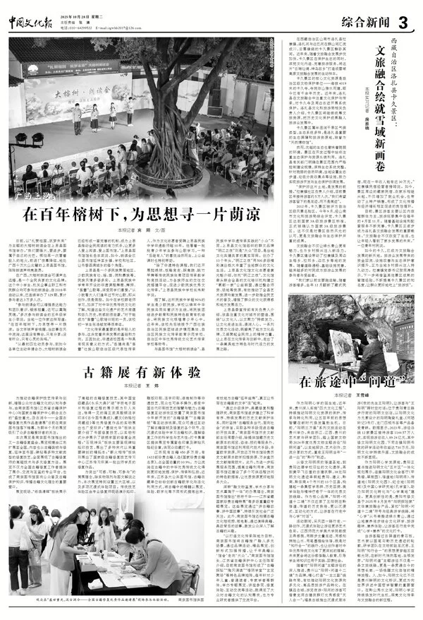 广西上思:在百年榕树下,为思想寻一片荫凉