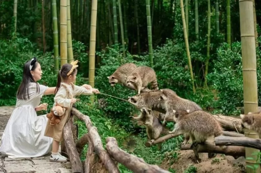 湄公河旅游旗下湖州长颈鹿庄园斩获2025“游乐界•金冠奖”杰出亲子乐园奖(图4)