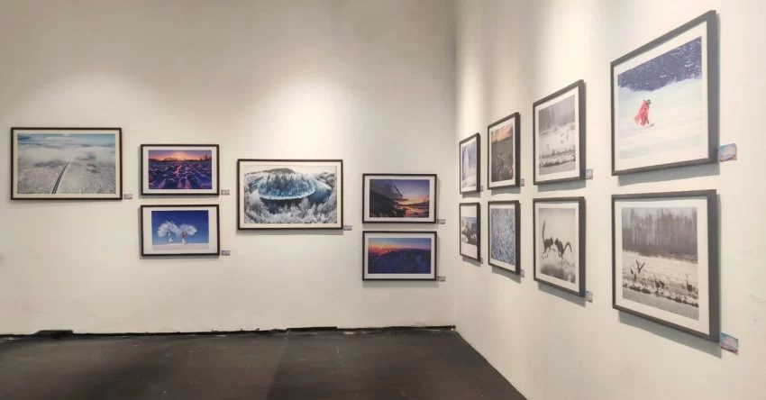 林海雪韵映山城 南北文旅谱新篇——“大美伊春·魅力丰林”冬季风光摄影作品展重庆启幕(图3) 林海雪韵映山城 南北文旅谱新篇——“大美伊春·魅力丰林”冬季风光摄影作品展重庆启幕(图3)