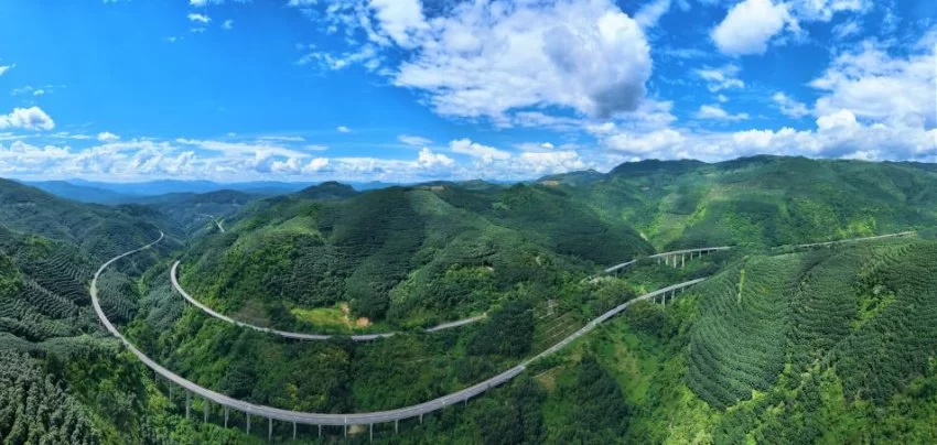 在雨林风景道上，遇见西双版纳的生活(图2)