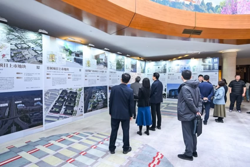 “紫金服务”品牌矩阵发布——北京东城区优化营商环境大会见证政企“双向奔赴”(图8)