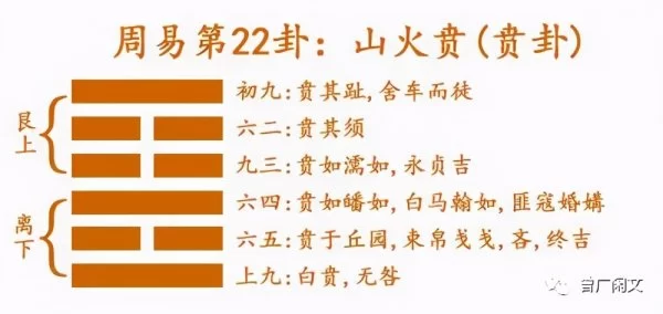 从文化迈向文明