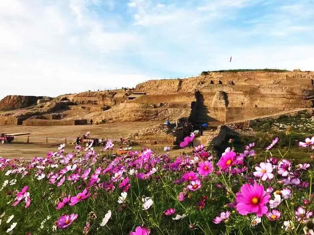 陕西神木:累累硕果满枝头,奋楫笃行再出发(图3) 陕西神木:累累硕果满枝头,奋楫笃行再出发(图3)