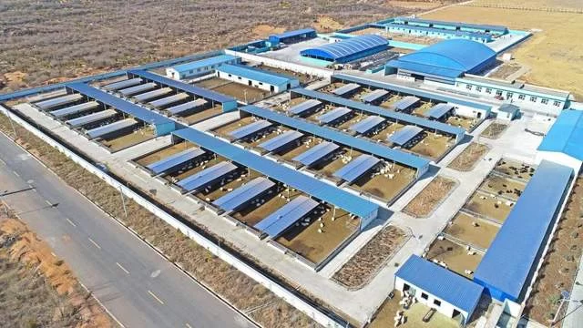 陕西神木:累累硕果满枝头,奋楫笃行再出发(图5) 陕西神木:累累硕果满枝头,奋楫笃行再出发(图5)